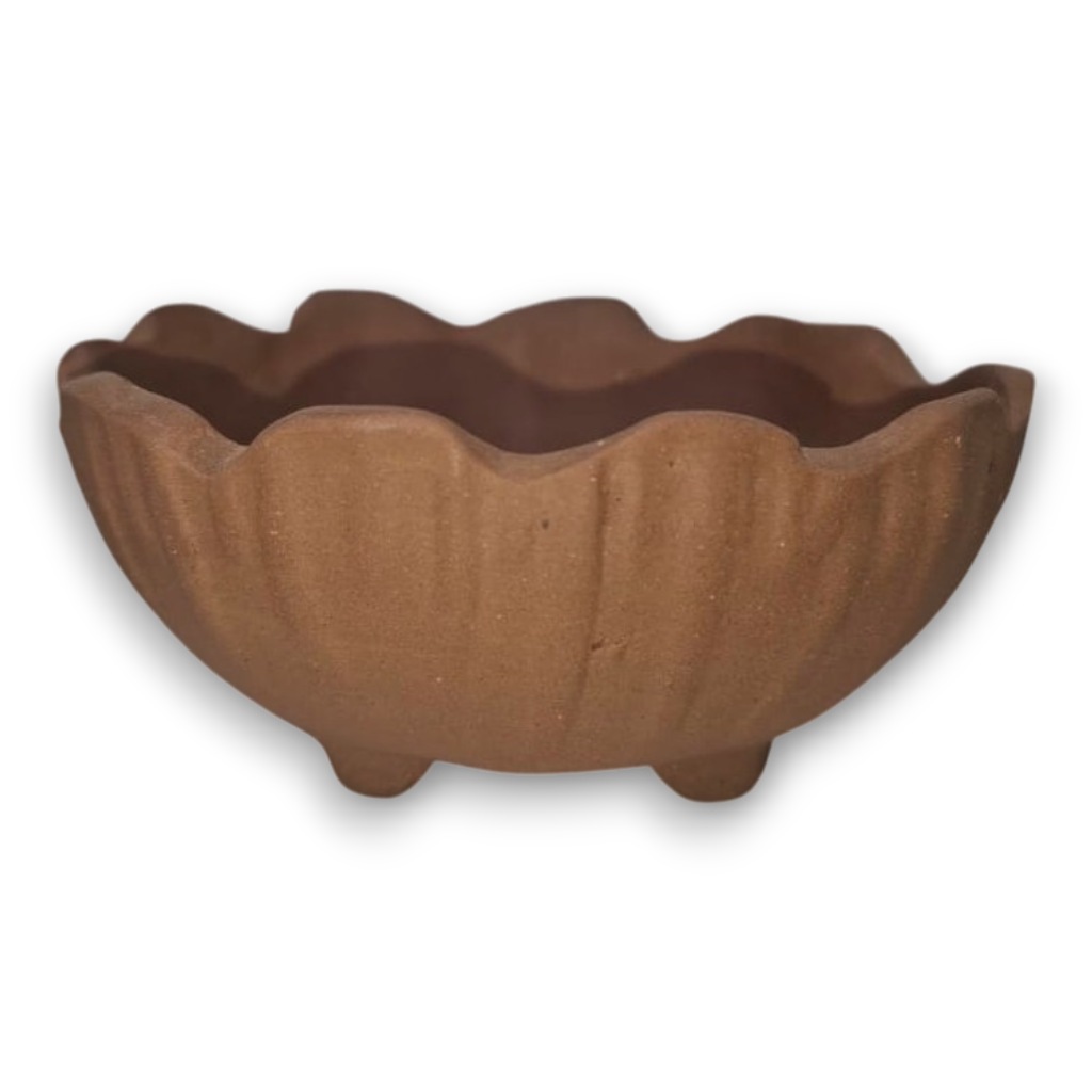 Desert Bloom "Floralled Bonsai"