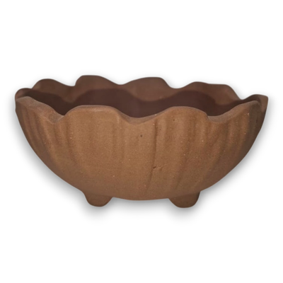 Desert Bloom "Floralled Bonsai"