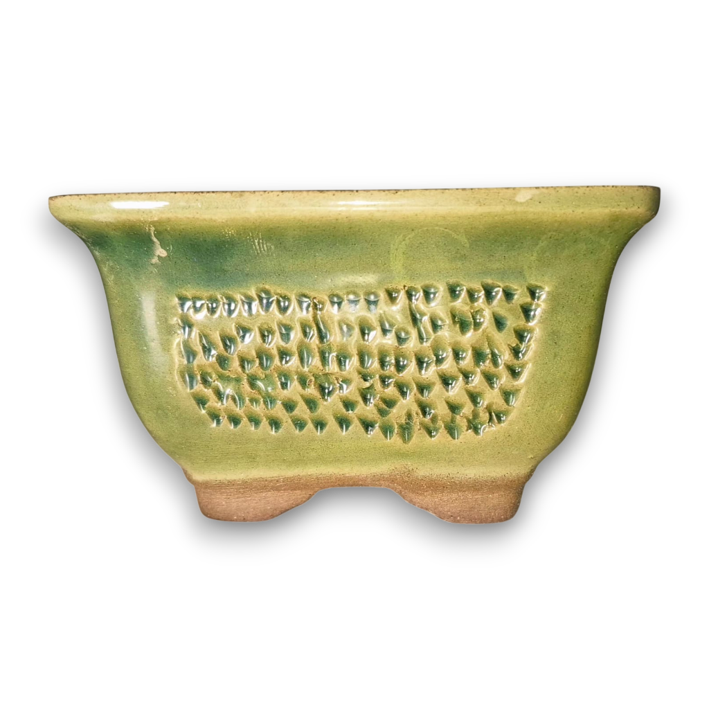 Verdant Weave "Rectangular"