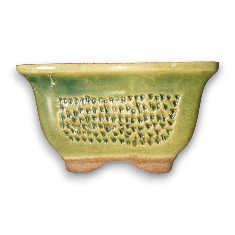 Verdant Weave "Rectangular"