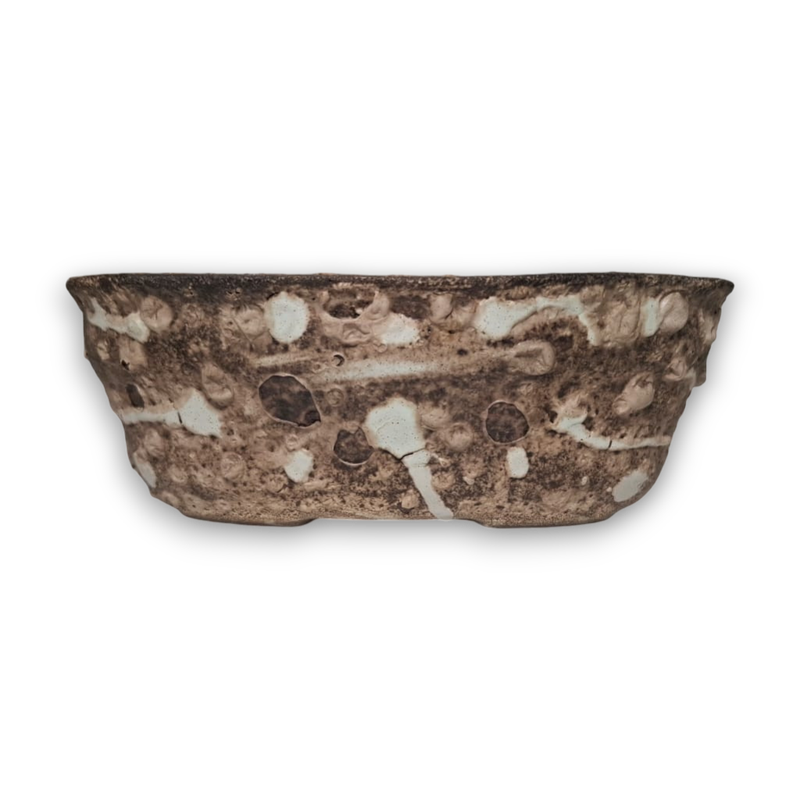 Earth &amp; Ember-2 "Oval"