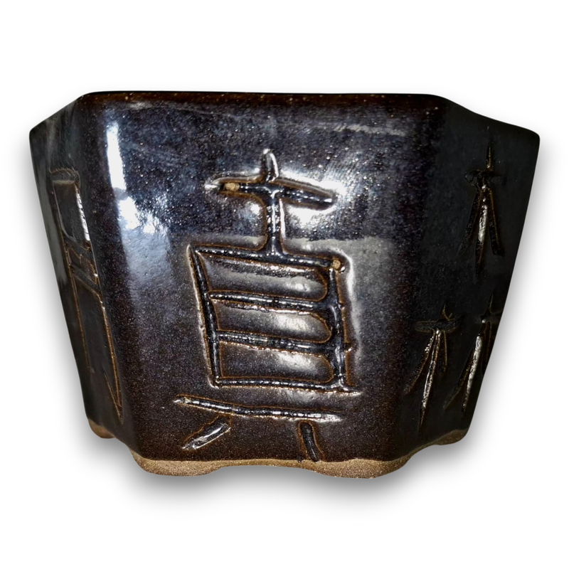 Midnight Script "Hexagon"