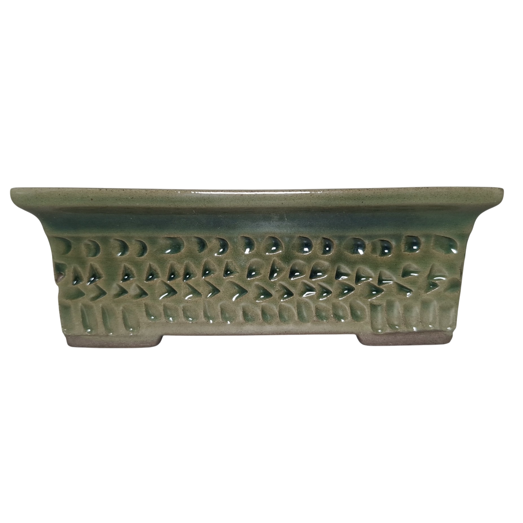 Forest Geometry "Rectangular Bonsai Pot"