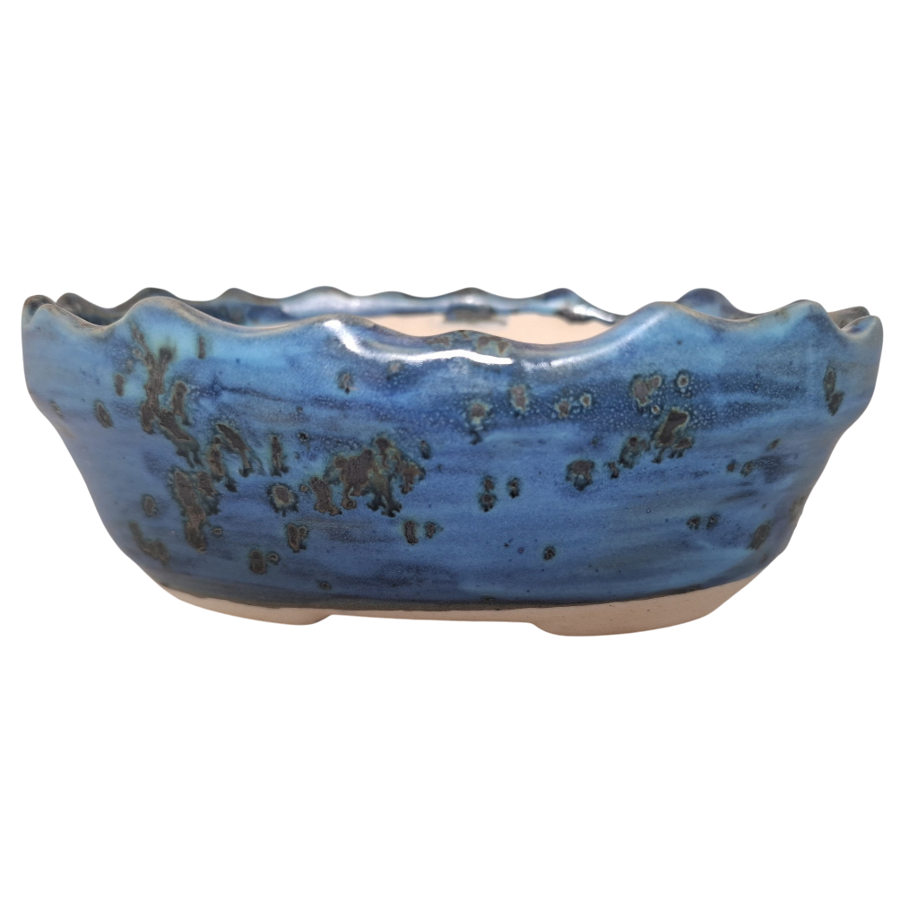 Ocean Whisper "Oval Bonsai Pot"