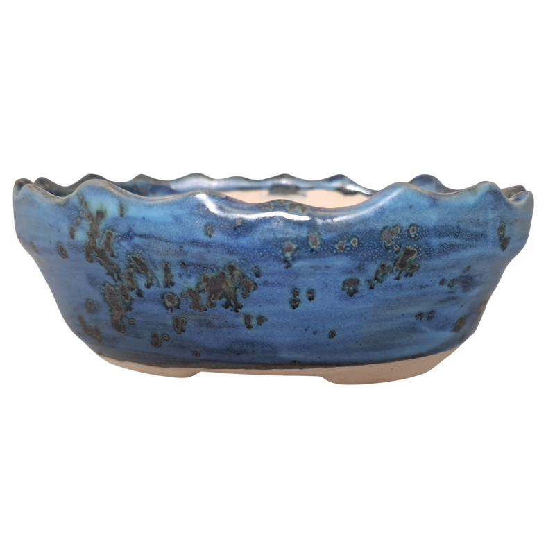 Ocean Whisper "Oval Bonsai Pot"