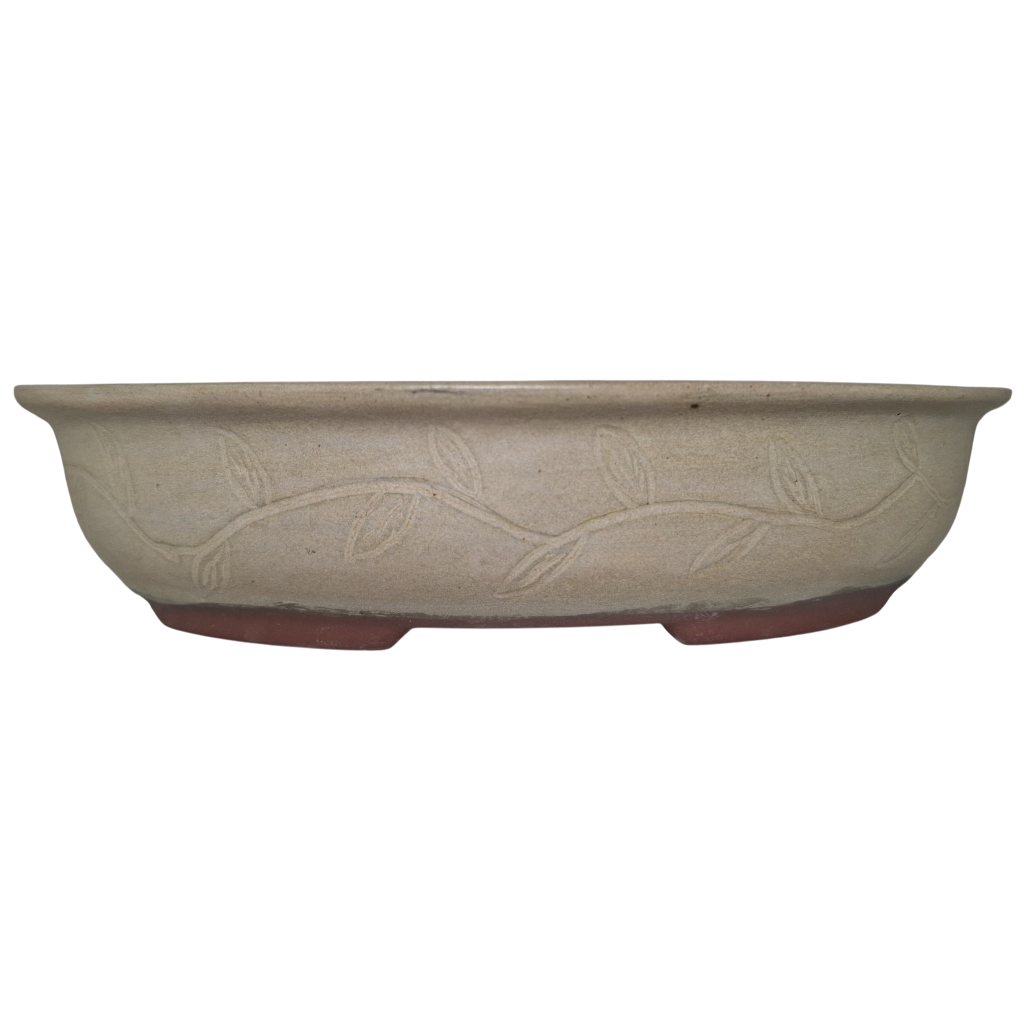 Silent Vine "Oval Bonsai Pot"