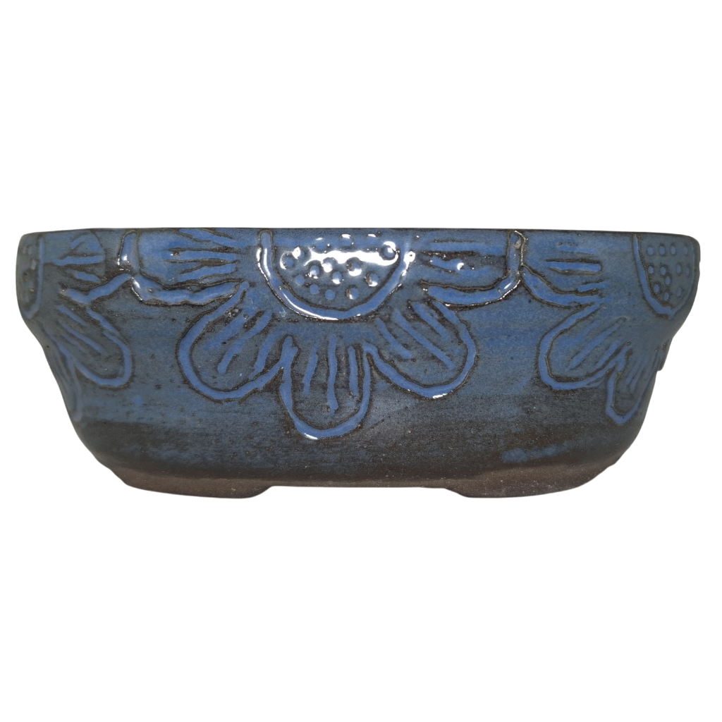 Midnight Bloom "Bonsai Oval Pot"