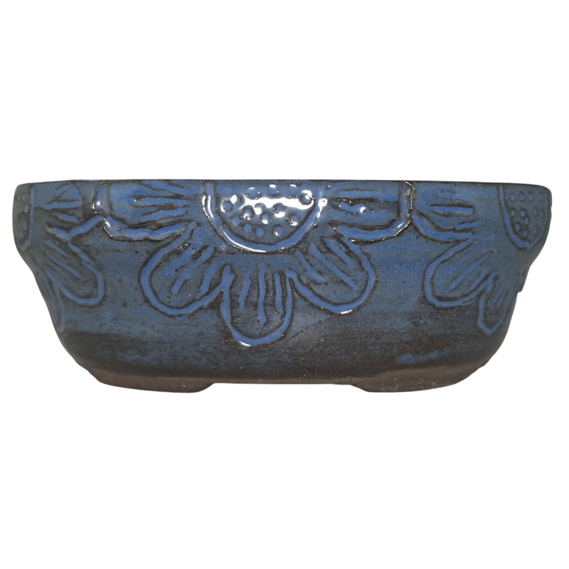 Midnight Bloom "Bonsai Oval Pot"