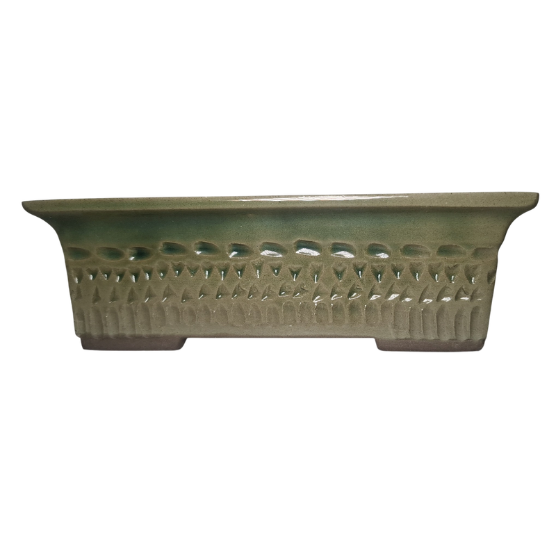 Olive Whisper "Oval Bonsai Pot"