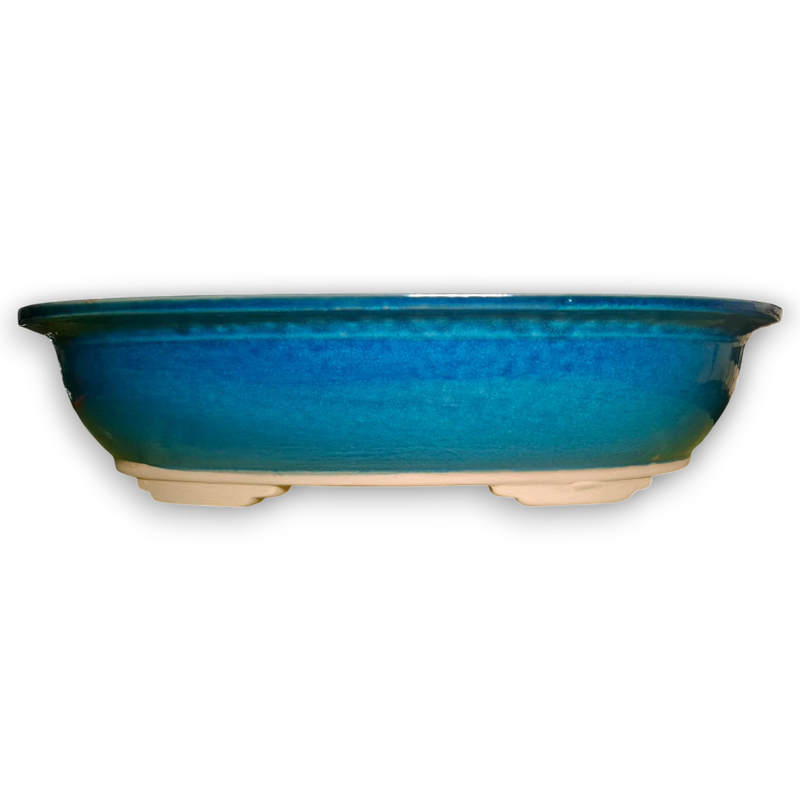 XL Oval Bonsai Pot