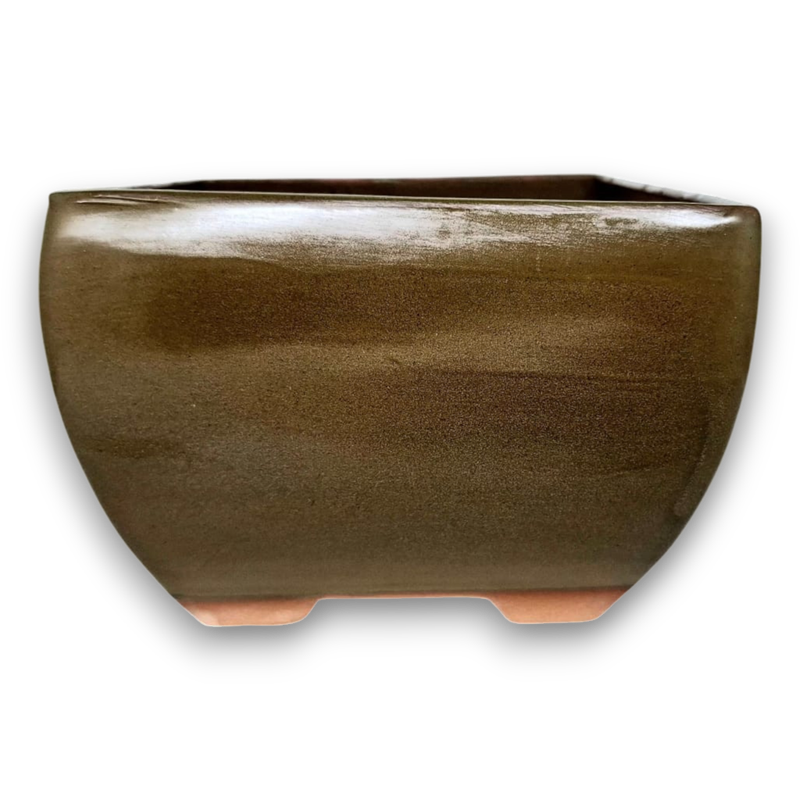 Square Bonsai Pot