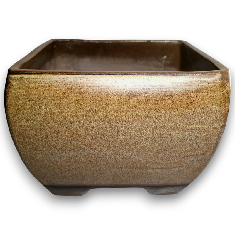Square Bowl Bonsai Pot
