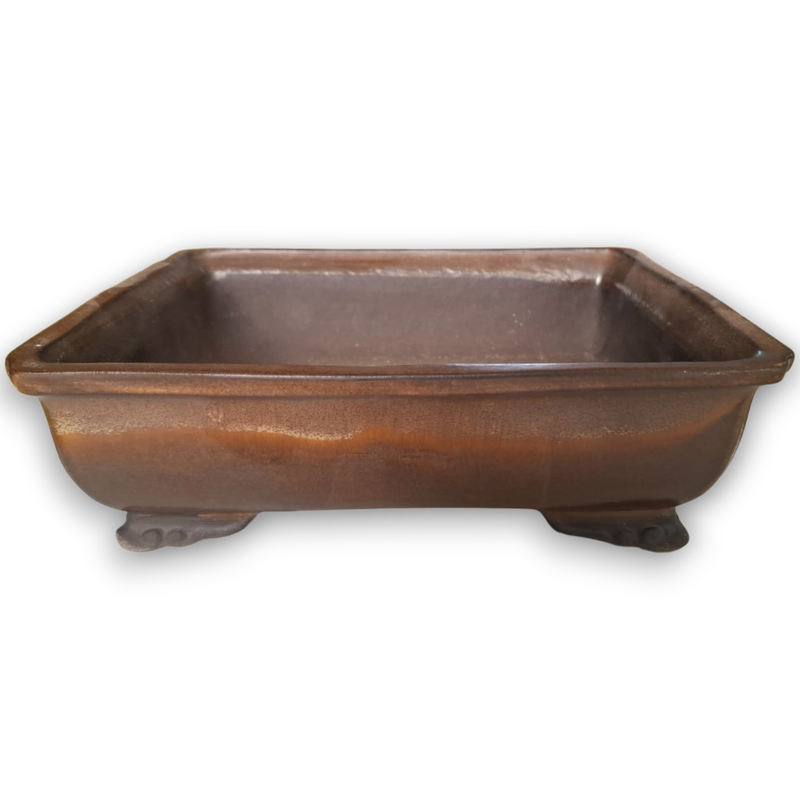 Rectangular Bonsai Pot