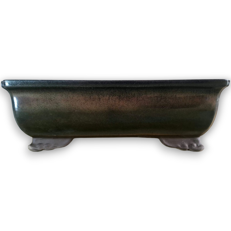 Rectangular Bonsai Pot
