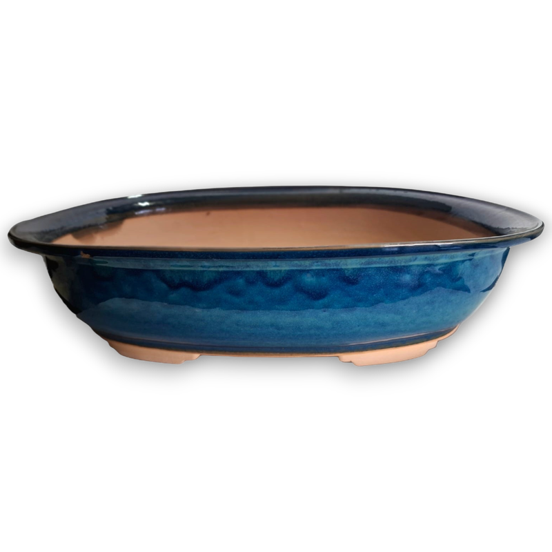 XXXL Bonsai Oval Pot