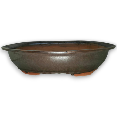 XL Oval Bonsai Pot