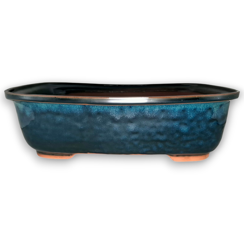 Large Oval