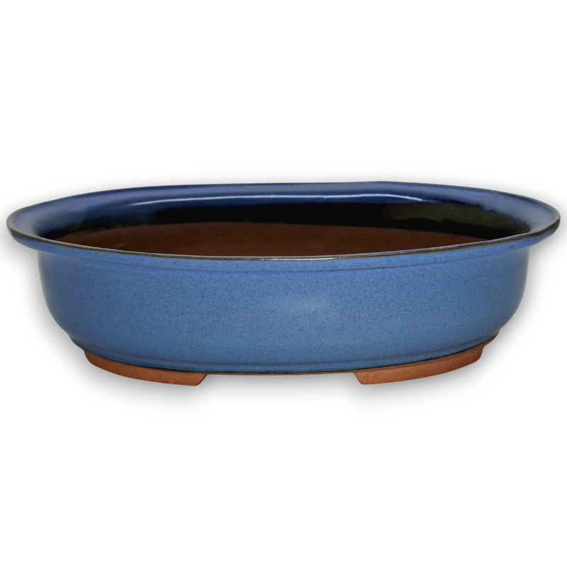 Oval Bonsai Pot