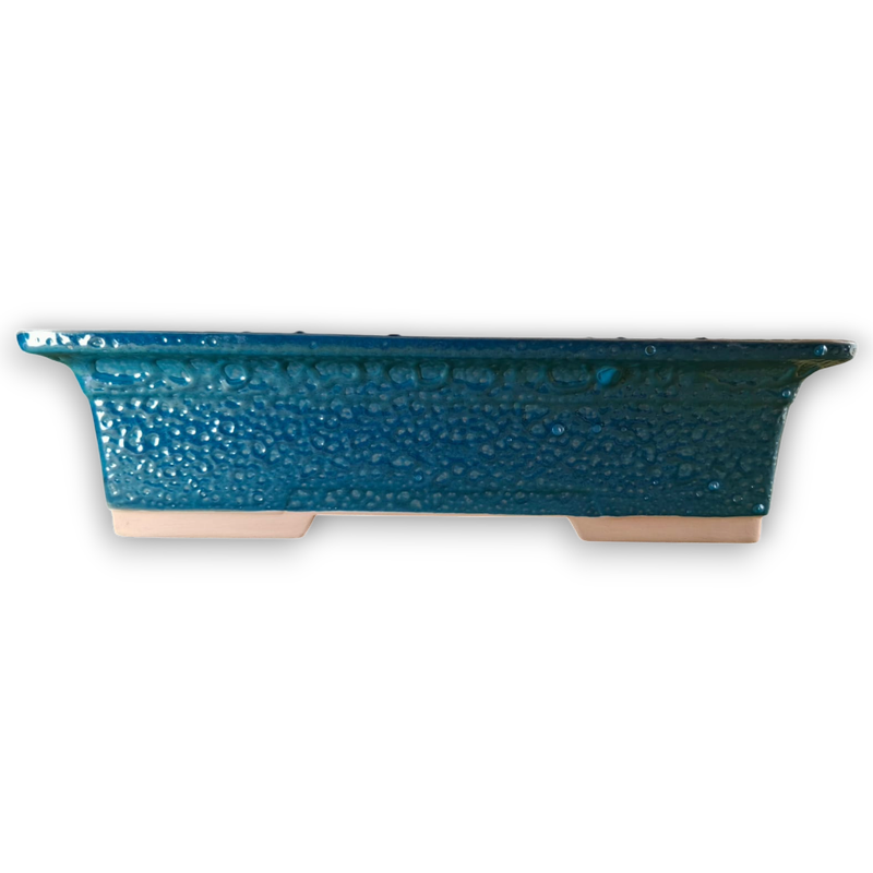 XL Rectangular Bonsai Container