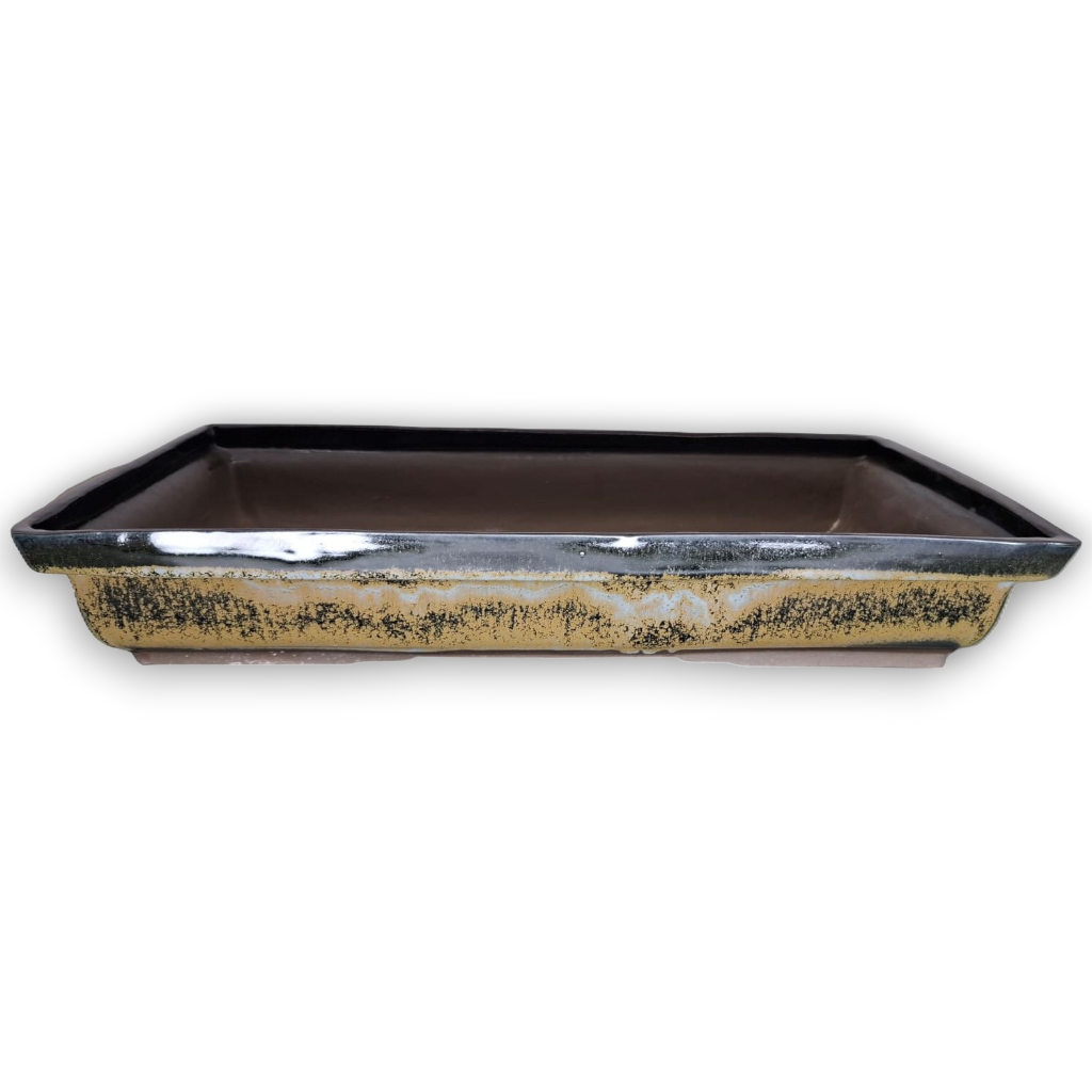 Rectangular Bonsai Forest Pot