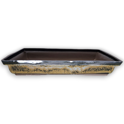 Rectangular Bonsai Forest Pot