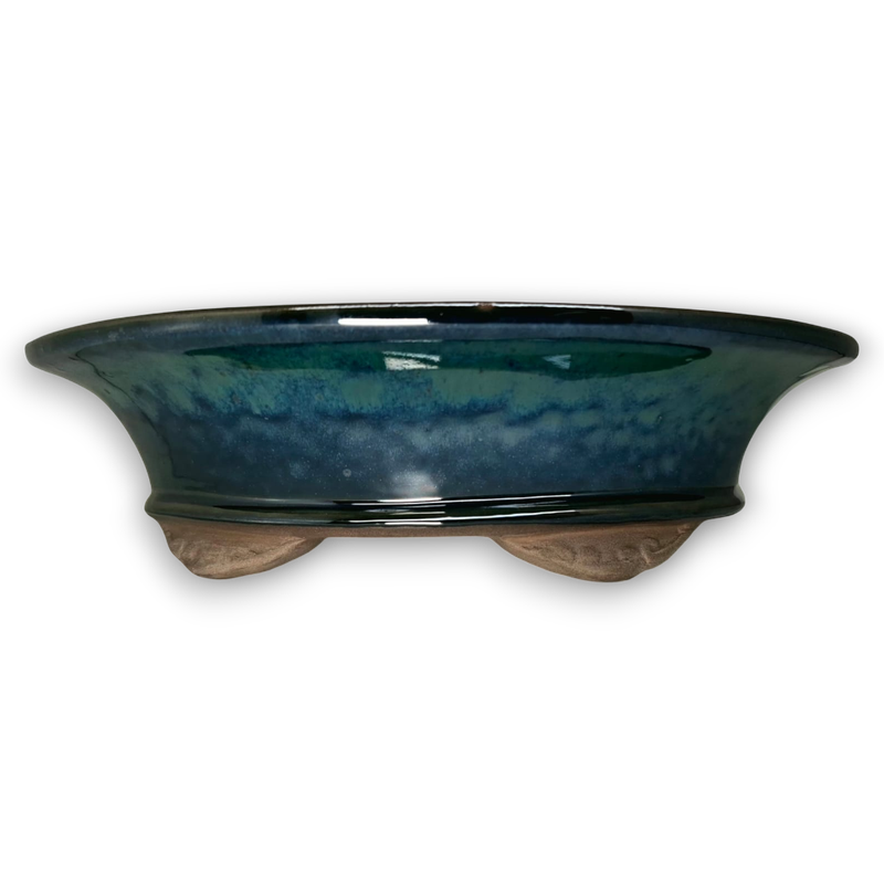 Large Oval