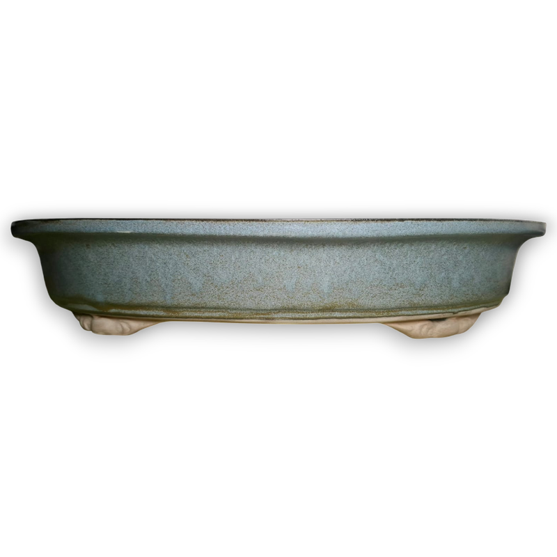 XXL Oval Flat Bonsai Pot (Forest)