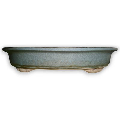 XXL Oval Flat Bonsai Pot (Forest)