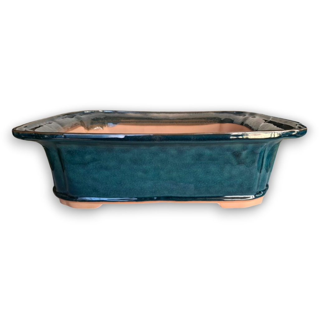 XXL- Rectangular Bonsai Pot