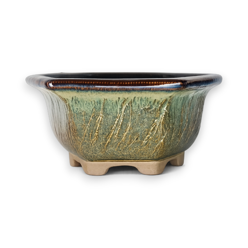 Whispering Reed Hexagon Bonsai Pot Hand Crafted