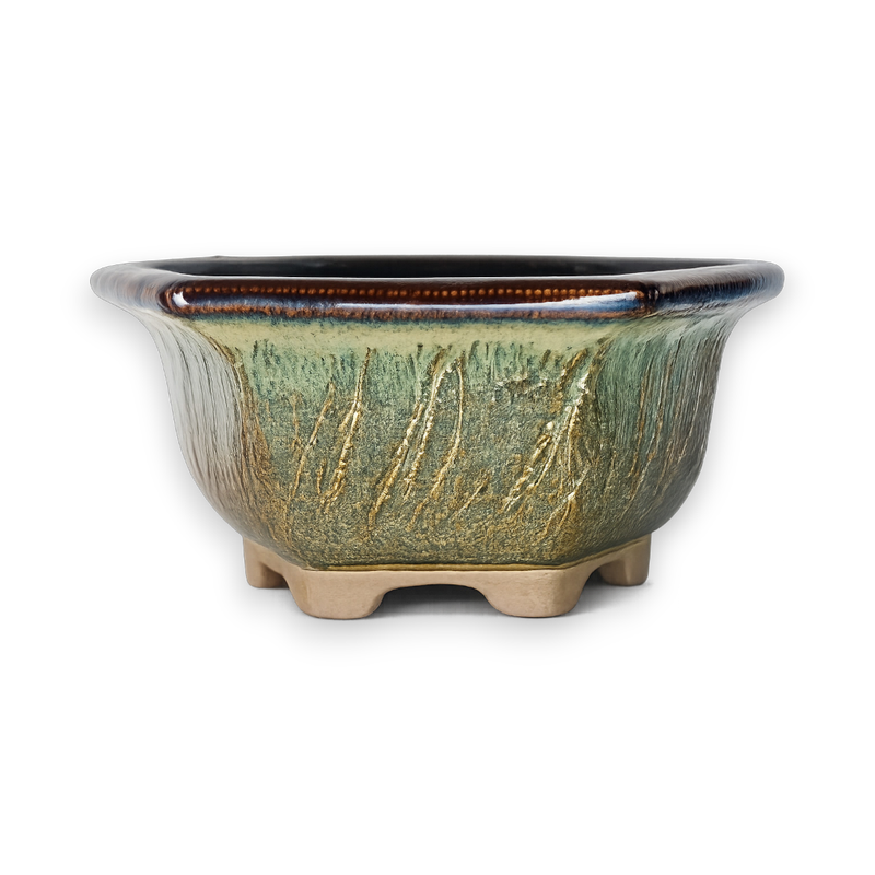 Whispering Reed Hexagon Bonsai Pot Hand Crafted