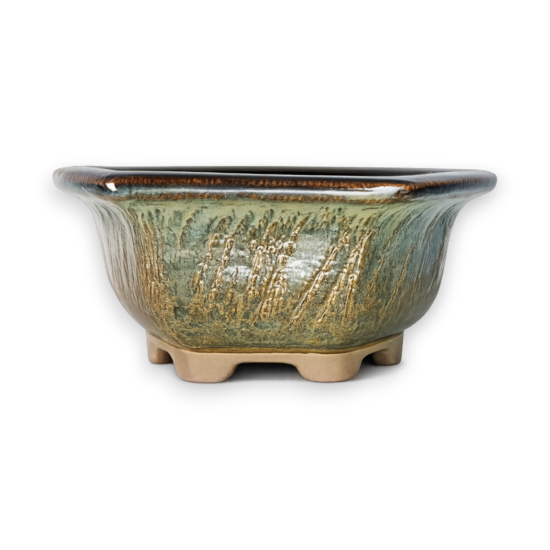 Whispering Reed Hexagon Bonsai Pot Hand Crafted