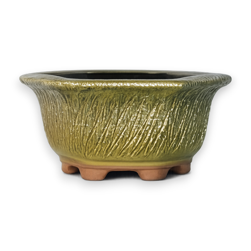 Stonewall Hexagon Hand-Crafted Bonsai Pot