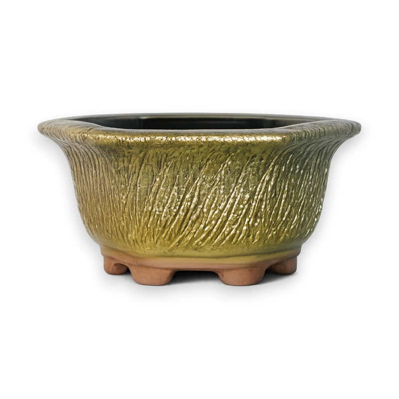 Stonewall Hexagon Hand-Crafted Bonsai Pot