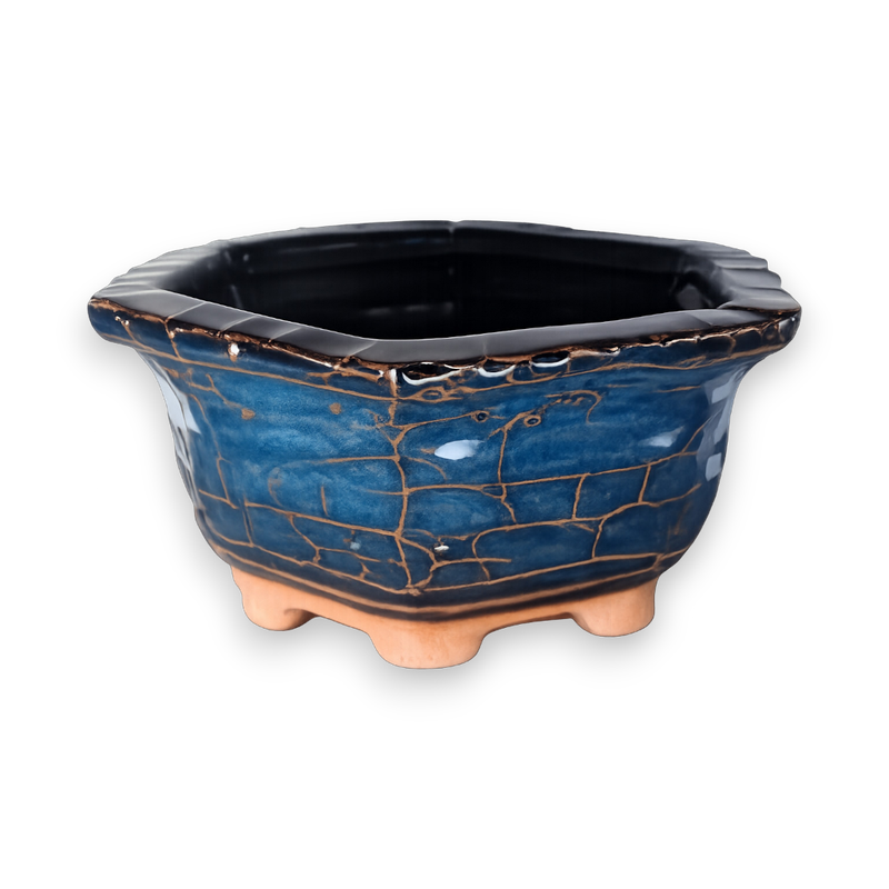 Cobalt Vein Hexagon Hand-Crafted Bonsai Pot