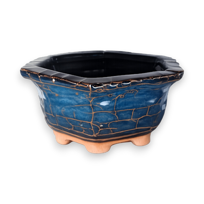 Cobalt Vein Hexagon Hand-Crafted Bonsai Pot