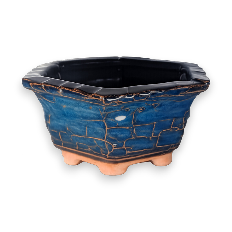 Cobalt Vein Hexagon Hand-Crafted Bonsai Pot