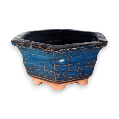 Cobalt Vein Hexagon Hand-Crafted Bonsai Pot