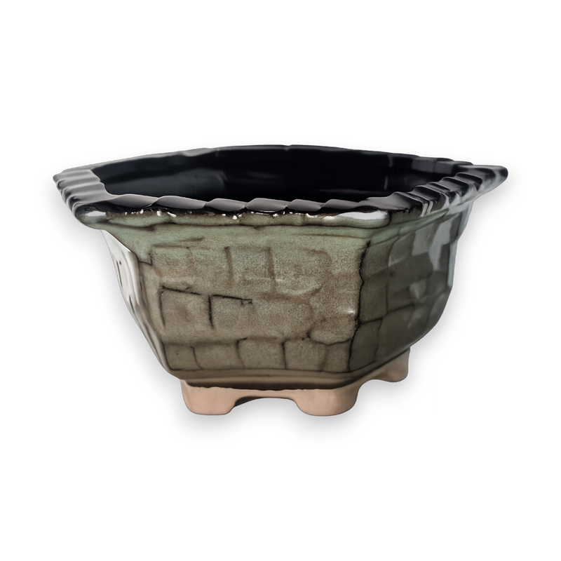 Mossstone Hexagon Hand-Crafted Bonsai Pot