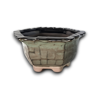 Mossstone Hexagon Hand-Crafted Bonsai Pot