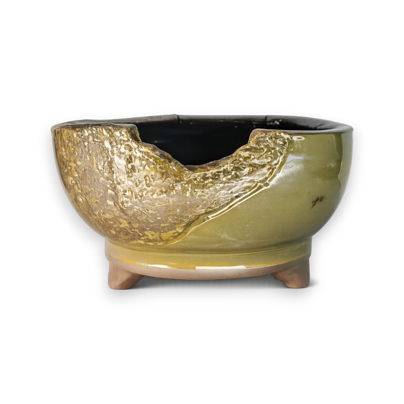 Golden Rift Hand-Crafted Bonsai Pot