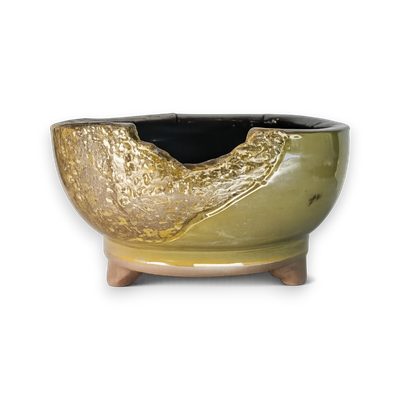 Golden Rift Hand-Crafted Bonsai Pot