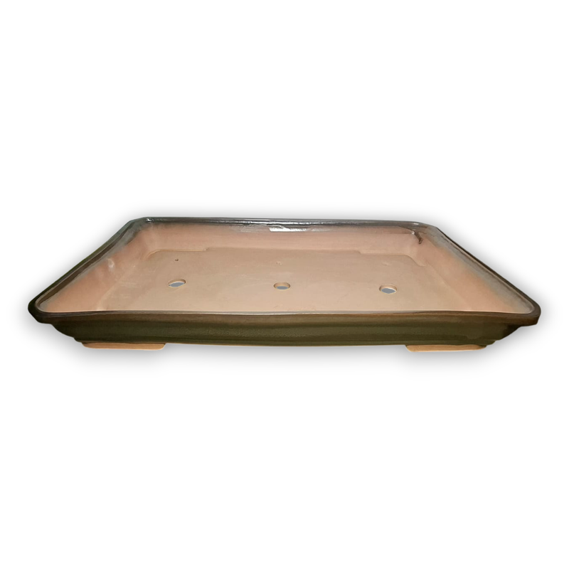 XXL- Rectangular Bonsai Pot (Forest)