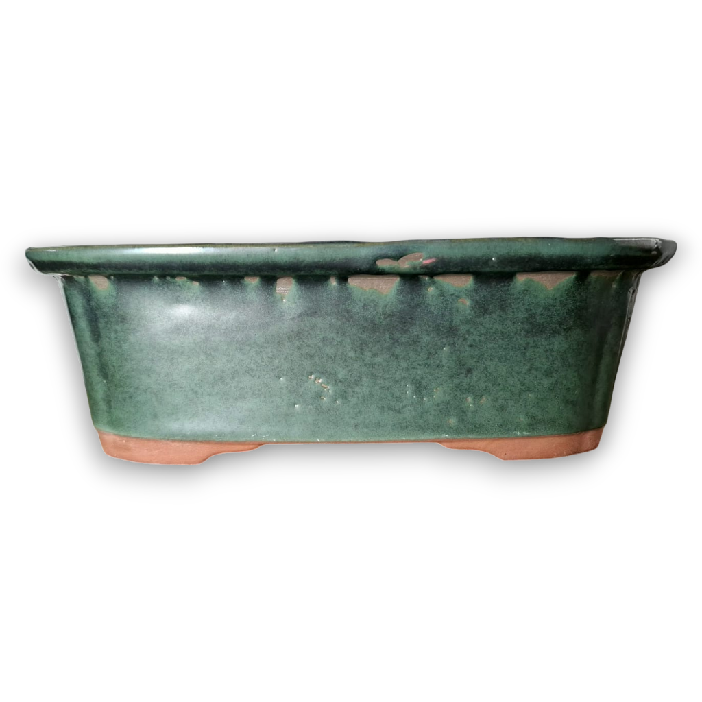 A quiet forest captured in clay…