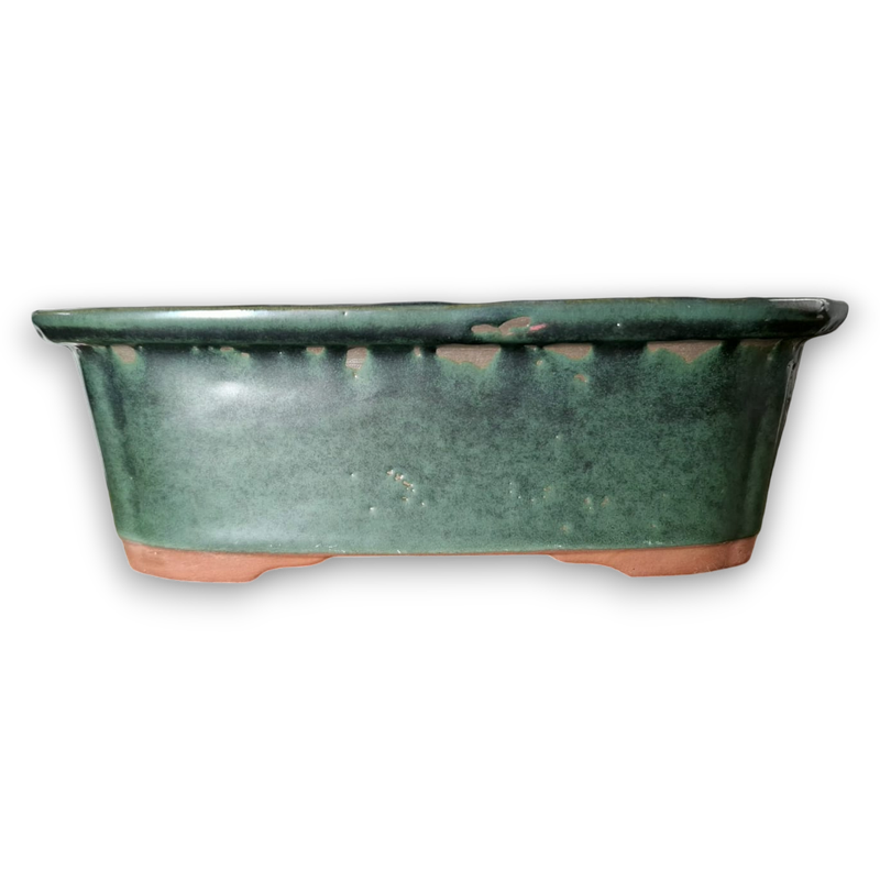A quiet forest captured in clay…