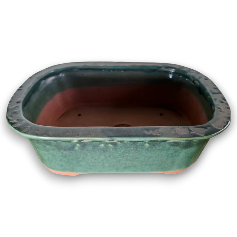 A quiet forest captured in clay…