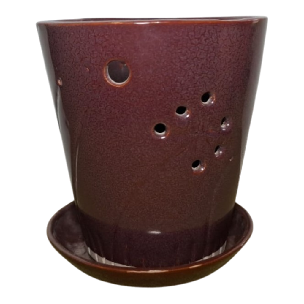 Ember Orchid Planter