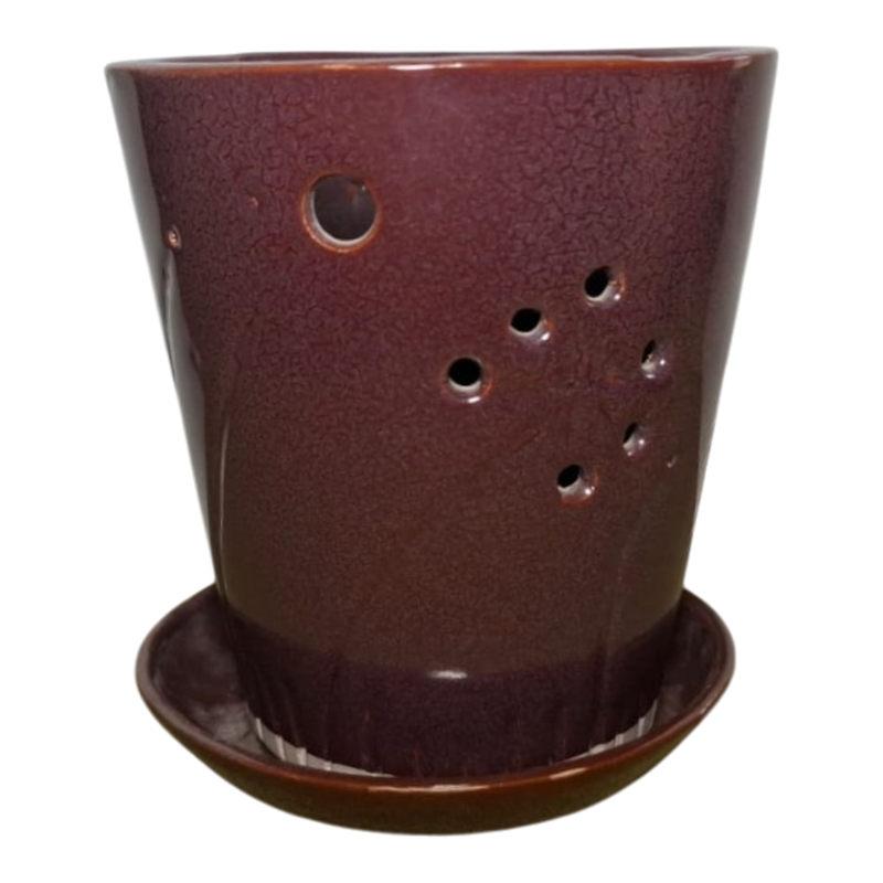 Ember Orchid Planter