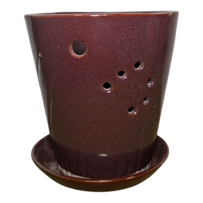 Ember Orchid Planter