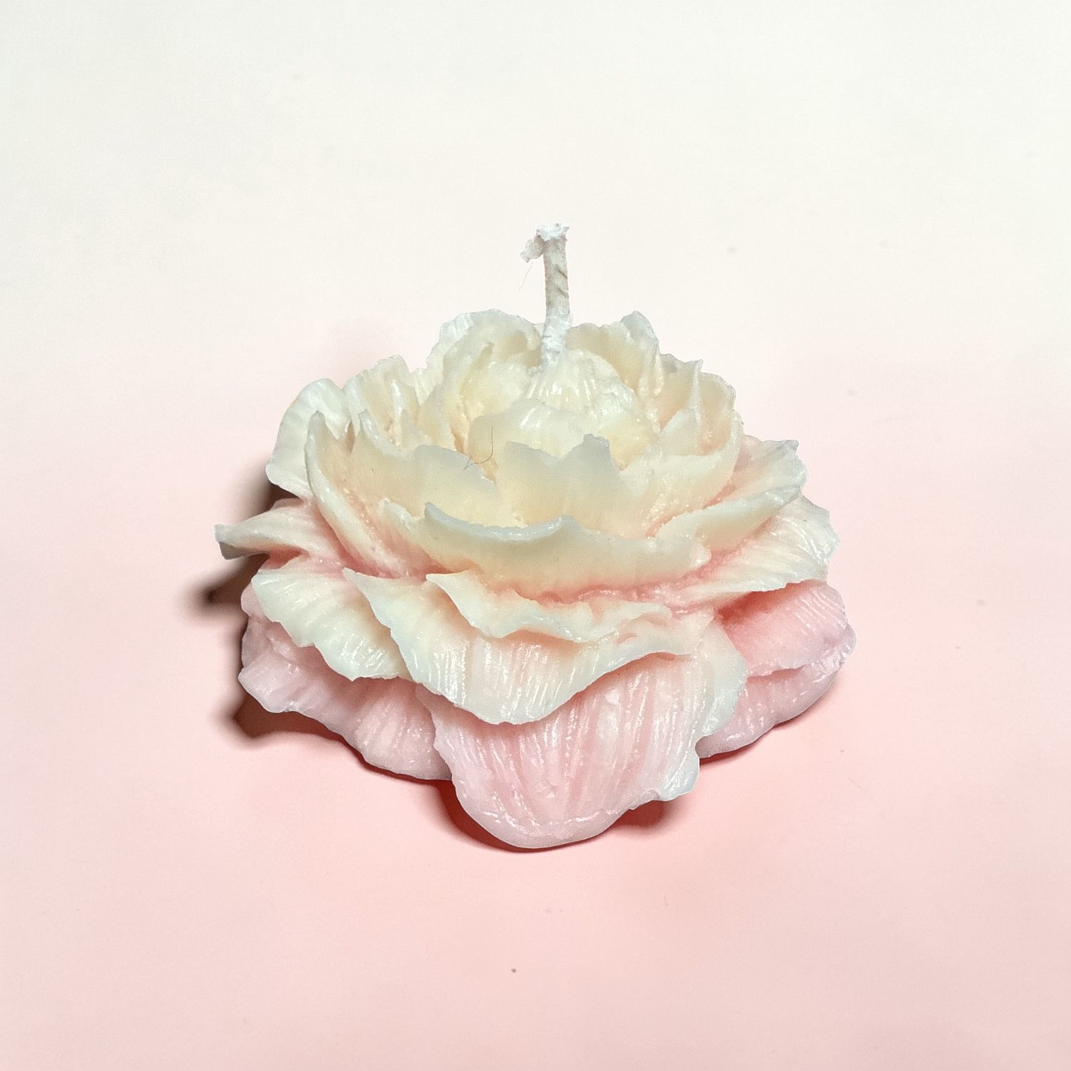 Blush Rose Candle